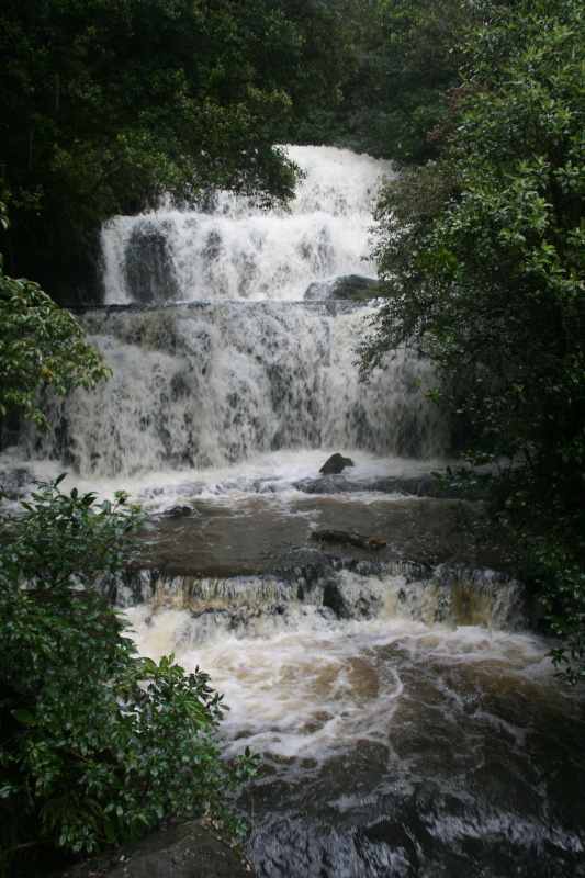 Nieuw-Zeeland 2011 - 1888